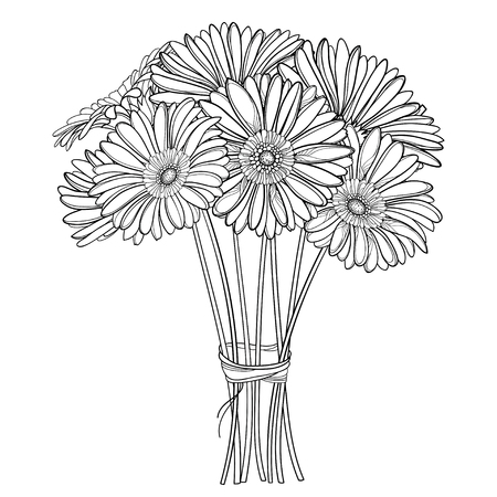 Bouquet of outline Gerbera flower in black isolated.のイラスト素材