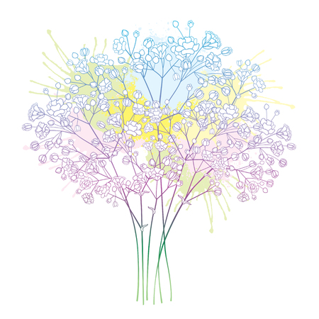 Bouquet with pastel Gypsophila or Baby's breath.のイラスト素材