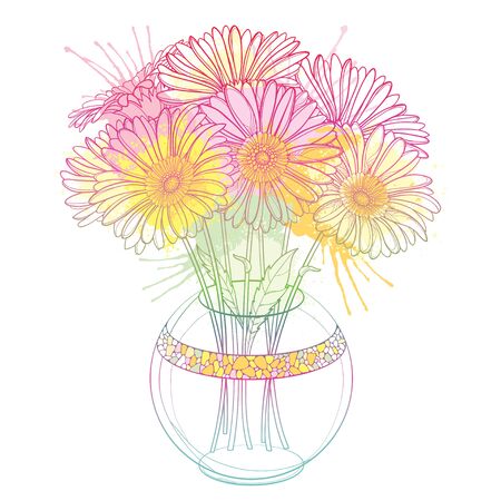 Bouquet of outline Gerbera in round vase isolated.のイラスト素材