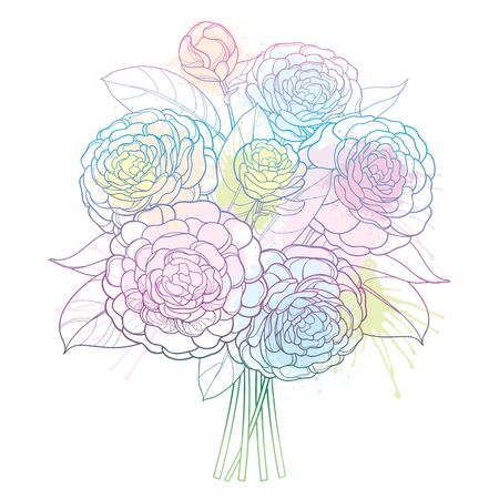 Bouquet with outline Camellia flower isolated.のイラスト素材