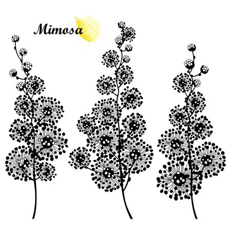 Set of Mimosa silhouettes in black isolated.のイラスト素材