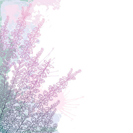 Ð¡orner bouquet of outline Heather in pastel pink on the white background.のイラスト素材