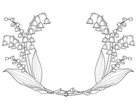 Frame with outline Lily of the valley flowers in black isolated on white background.のイラスト素材