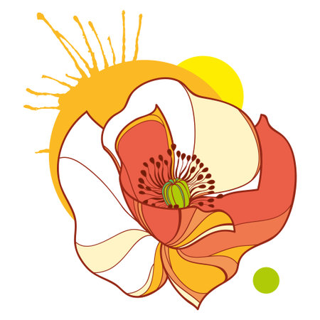 Outline Poppy flower in orange and red isolated on white background.のイラスト素材