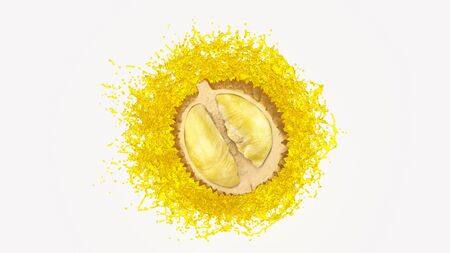 The Real Half of Durian drop down into water splash from back on white background with 3d rendering.の写真素材