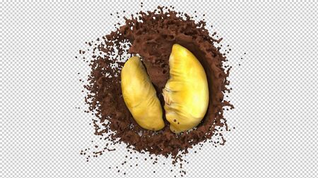 The Real Half of Durian drop down into water chocolate splash from back on alpha background include work path with 3d rendering.の写真素材
