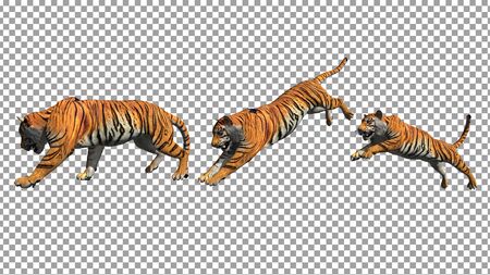 Bengal tiger pose jump animation with pose to pose by 3d rendering include work path for alpha.の写真素材