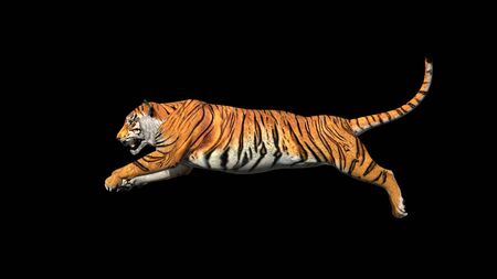 Bengal tiger jump in the air pose with 3d rendering include work path for alpha.の写真素材