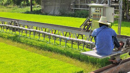 Farmer controll machine is pouring water to wheat grass farm in Thailand.の写真素材