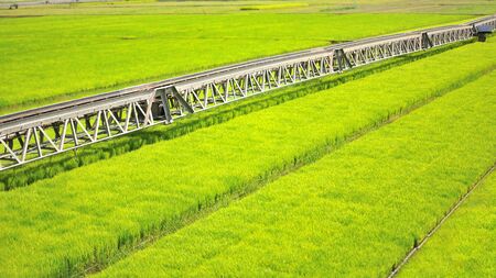 Machine is pouring water to wheat grass farm in Thailand.の写真素材
