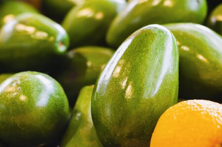 avocados for retail sale in supermarket gondola with beautiful flashes of natural lights
