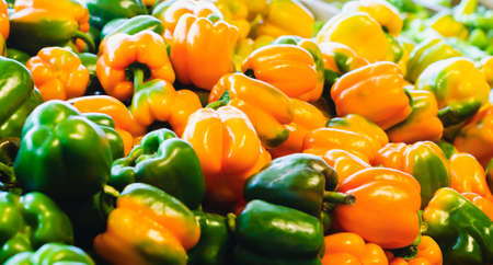 Capsicum annuum, commonly pepper, chilli, pepper or morrÃ³n, among a multitude of localisms, is the most known, widespread and cultivated species of the genus Capsicum, of the Solanaceae family.の写真素材