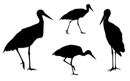 storks silhouettes - vectorのイラスト素材
