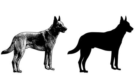 german shepherd dog silhouette and sketch illustration - vectorのイラスト素材