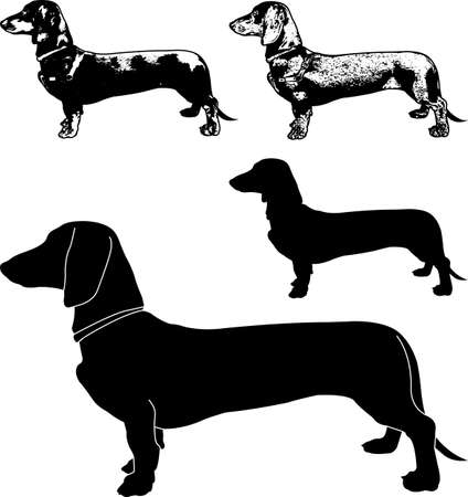 dachshund dog silhouette and sketch illustration - vectorのイラスト素材