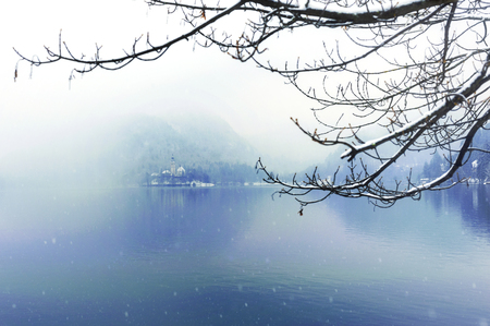 Winter at Famous Bled Lake National Park Sloveniaの写真素材