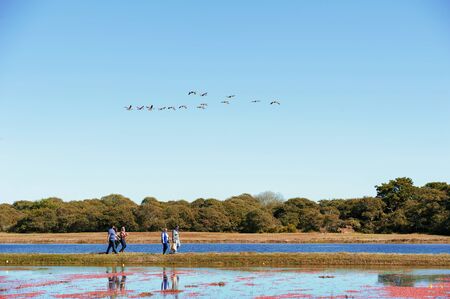 NANTUCKET ISLAND, MASSACHUSETTS - OCTOBER 5: Visitors at Nantucket Cranberry Festival, famous tourist attraction and Landmark of Nantucket Island on beautiful sunny day on October 5, 2018.のeditorial素材