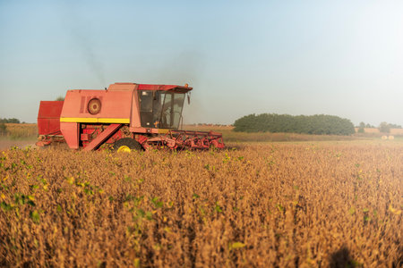 Agriculture theme, Harvester working in Fields Harvesting Soy in Farmland on Sunny Summer Day