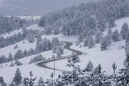 Cold winter scene, heavy snow on tree branches at rural area. Romantic time details.の写真素材