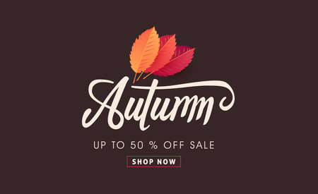 Autumn sale background layout decorate with autumn leaves for shopping sale or promo poster and frame leaflet or web banner.Vector illustration template.のイラスト素材