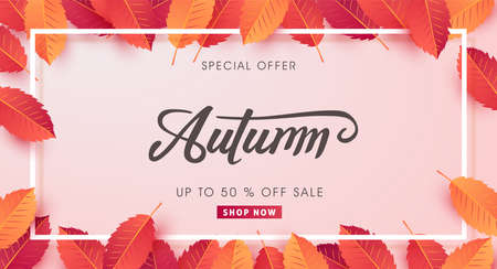 Autumn sale background layout decorate with leaves for shopping sale or promo poster and frame leaflet or web banner.Vector illustration template.のイラスト素材