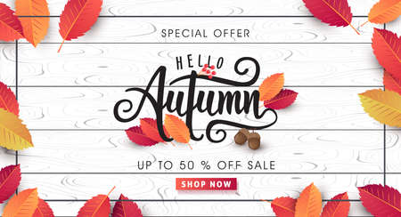 Autumn sale background layout decorate with leaves for shopping sale or promo poster and frame leaflet or web banner.Vector illustration template.のイラスト素材