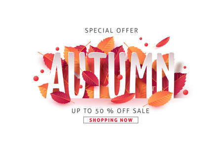 Autumn sale background.のイラスト素材