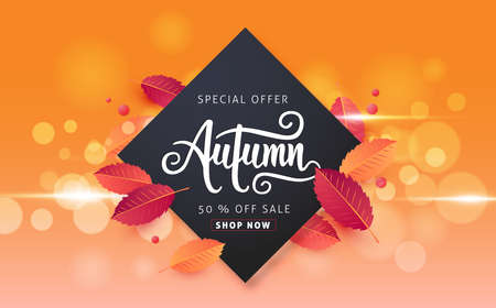 Autumn sale background layout decorate with leaves for shopping sale or promo poster and frame leaflet or web banner.Vector illustration template.のイラスト素材