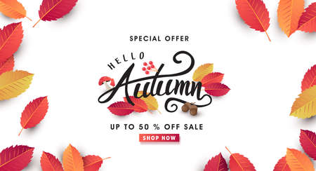 Autumn sale background layout decorate with leaves of autumn for shopping sale or promo poster and frame leaflet or web banner.Vector illustration template.のイラスト素材