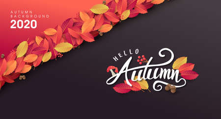 Autumn leaves background.thanksgiving day vector illustration