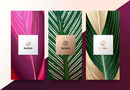 Vector set packaging templates Leaves of nature luxury or premium products.logo design with trendy linear style.voucher discount, flyer, brochure.menu book cover vector illustration.greeting card background.のイラスト素材