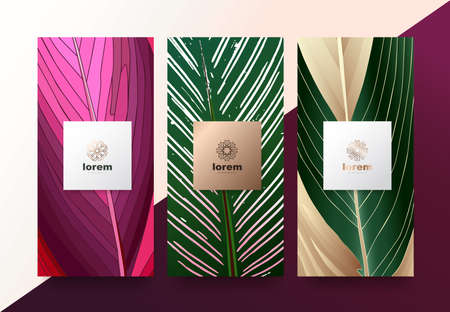 Vector set packaging templates Leaves of nature luxury or premium products.logo design with trendy linear style.voucher discount, flyer, brochure.menu book cover vector illustration.greeting card background.