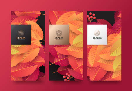 Vector set packaging templates Leaves of nature luxury or premium products.logo design with trendy linear style.voucher, flyer, brochure.menu book cover vector illustration.greeting card background.のイラスト素材