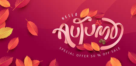 Autumn leaves background. Seasonal lettering.vector illustration.Promotion sale banner of autumn season.のイラスト素材