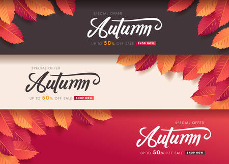 Autumn leaves background. vector illustration. Promotion sale banner of autumn season.のイラスト素材