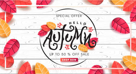 Autumn calligraphy on white wood. Seasonal lettering. autumn sale  banner background. vector illustrationのイラスト素材