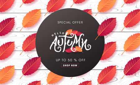 Autumn calligraphy on white wood. Seasonal lettering.autumn sale  banner background. vector illustrationのイラスト素材
