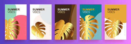 Collection of abstract summer banner background designs with gold tropical leafのイラスト素材