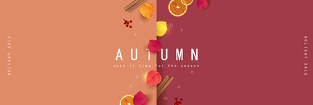Autumn gift promotion coupon banner background decorated with autumn leaves and seasonal decorations.のイラスト素材