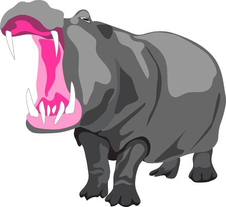 hippopotamusのイラスト素材
