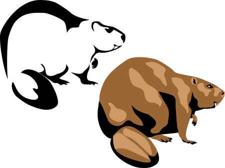 beaverのイラスト素材