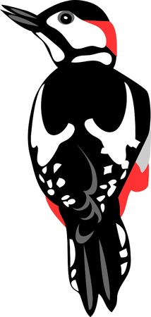 woodpeckerのイラスト素材