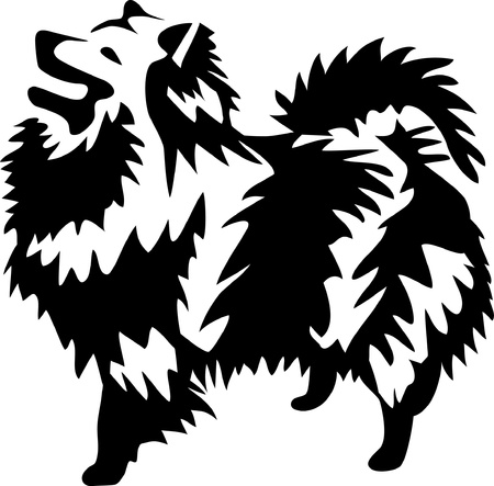 dog - german spitzのイラスト素材