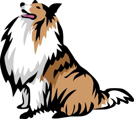 sitting collie dogのイラスト素材
