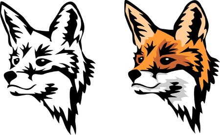 head of foxのイラスト素材