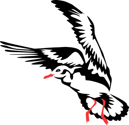 flying seagullのイラスト素材