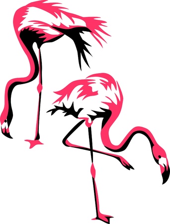 flamingo birdのイラスト素材