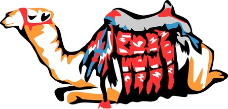 camel with saddleのイラスト素材