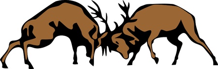 fighting deersのイラスト素材