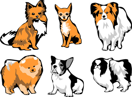 small dog breedsのイラスト素材